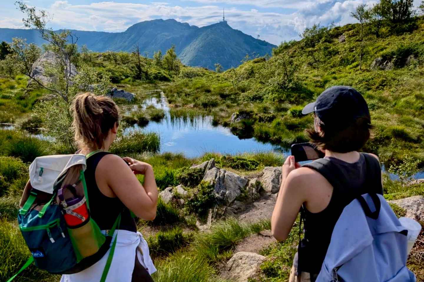Bergen: Guided mountain hike on top of Bergen