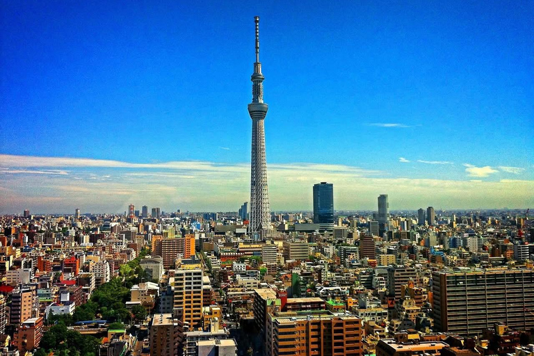 Tokyo Prestige: Luxury Chauffeur Tour with Private Guide 10 Hours Customized Tokyo Tour in Luxury Alford or Vellfire