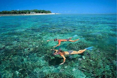 Cham Islands - Explore Islands Snorkelling Or Diving 2 Times Diving 1 Time By Speedboat