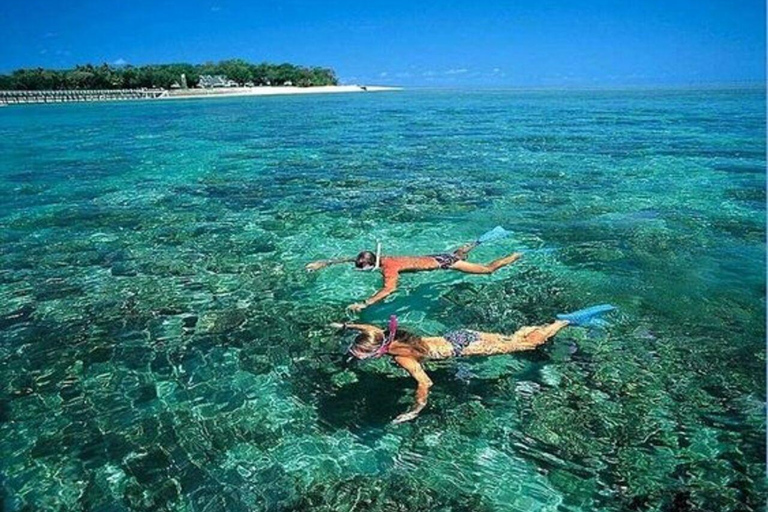 Cham Islands - Explore Islands Snorkelling Or Diving 2 Times Diving 1 Time By Speedboat