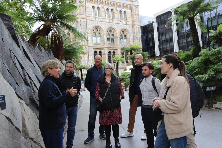 London: Natural History Museum Express Tour & Audio App