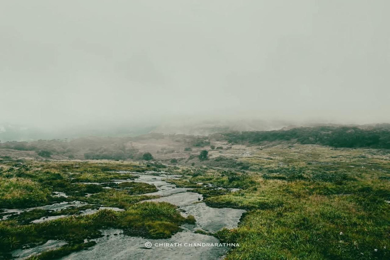 Knuckles Mountain Range: Kotaganga Waterfall Chain Hike