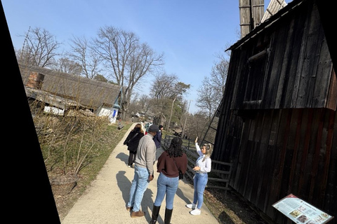 Bucharest: Village Museum, Ceausescu Mansion & Lakeside Tour