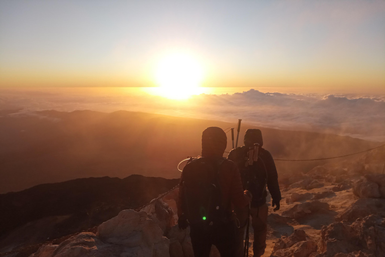 Tenerife: Daytime Guided Hike to the peak of Mount Teide