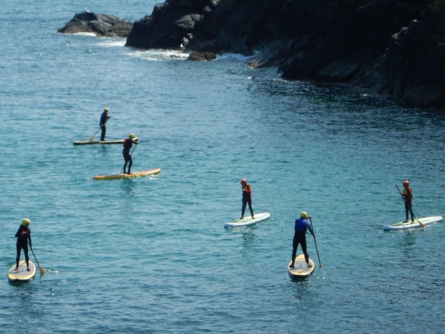 Cornwall: Stand-Up Paddleboarding Adventure on The Lizard