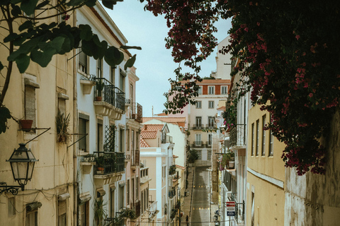 Private Tour in Lisbon
