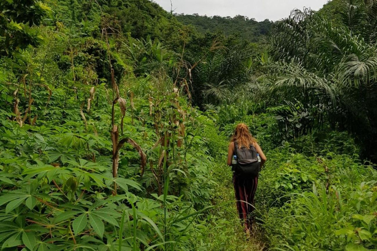 En el Corazón de la Magia : Festivales Vudú de Benín y Togo