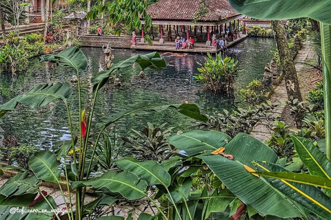 Bali: Ubud Swing, Rice Terrace & Temple Private Day Tour