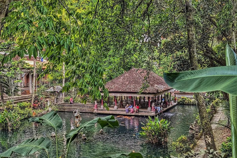 Bali: Ubud Swing, Rice Terrace & Temple Private Day Tour