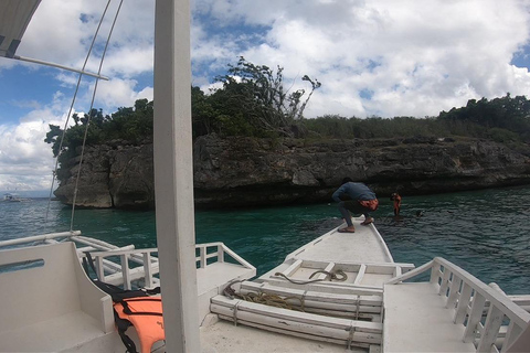 Cebu: Moalboal Island Hopping Paradise, Sardines Run