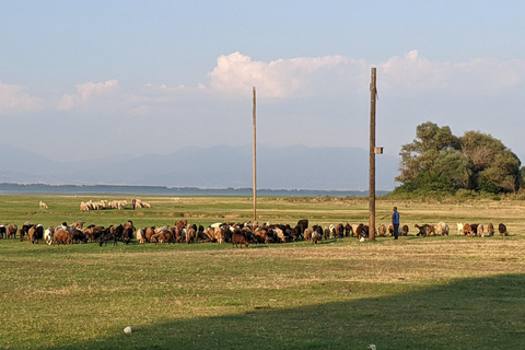 Desde Salónica: Lago Kerkini, paseo en barco y excursión de un día a una bodega