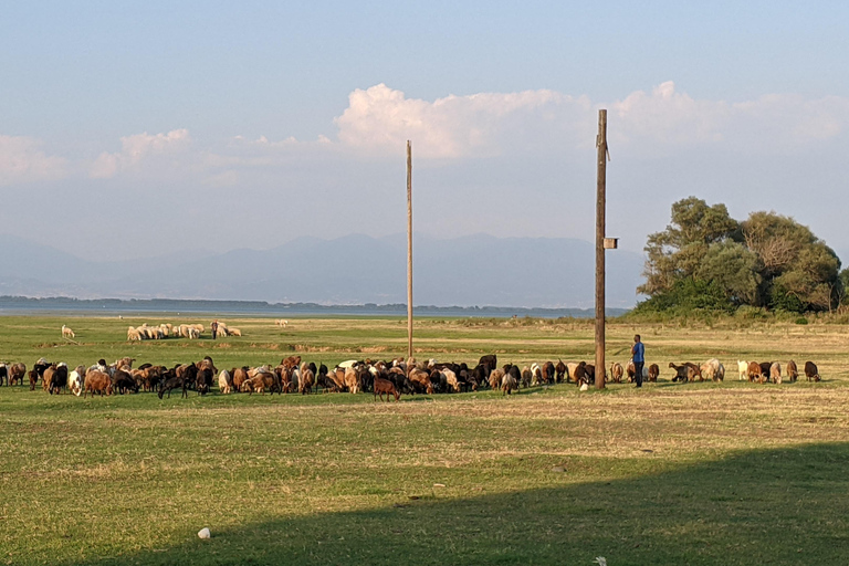 Desde Salónica: Lago Kerkini, paseo en barco y excursión de un día a una bodega