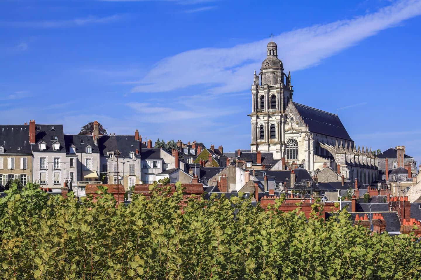 Hallo Blois: Privater, 2-stündiger Einführungs-Stadtrundgang mit ortskundigem Guide