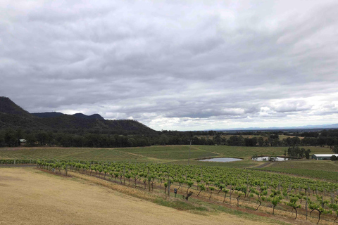 Från Haymarket: Hunter Valley dagstur med vin och vilda djur