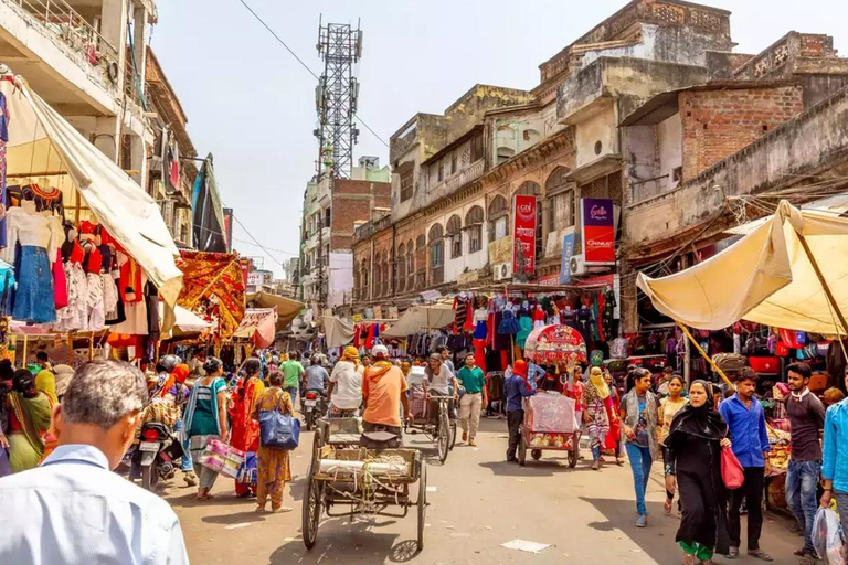 Old Delhi: Old Delhi City Tour with Rickshaw & Street Food