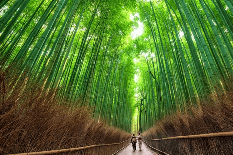 Kyoto: Arashiyama UNESCO Walking Tour with Admission