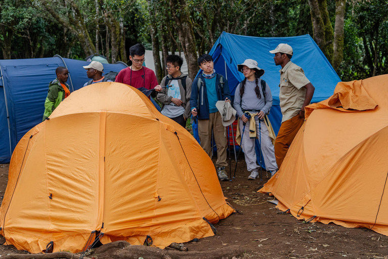 Kilimanjaro: Caminhada de 6 dias na Rota Machame com transfer do aeroporto