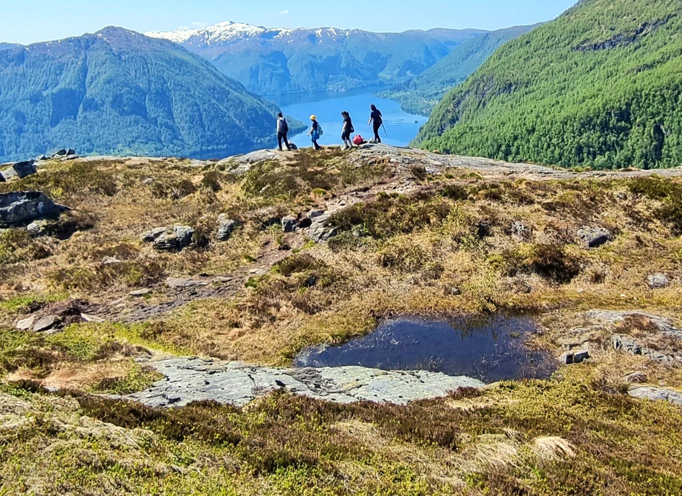 Bergen: Fjordvandring - offentlig tur