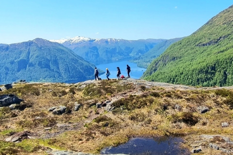 Bergen: Wędrówka po fiordach – wycieczka publiczna