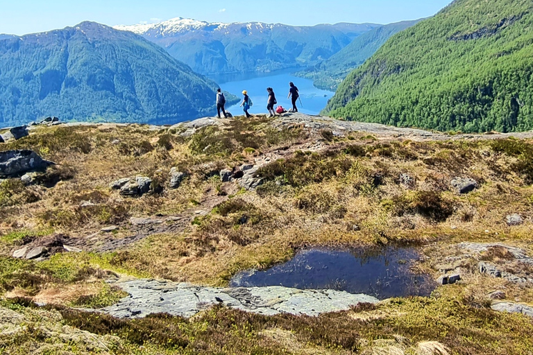 Bergen: Fjordwandelen - Openbare rondleidingBergen: Fjordwandeling - Openbare rondleiding