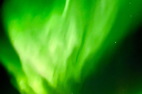 From Tromsø: Discover Senja Island with Local Guide From Tromsø: Privately Discover Senja with Local Guide