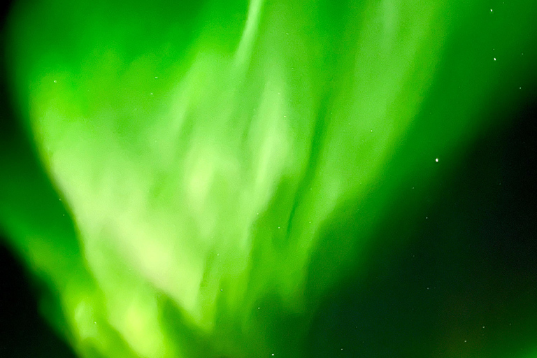 From Tromsø: Discover Senja Island with Local Guide From Tromsø: Privately Discover Senja with Local Guide