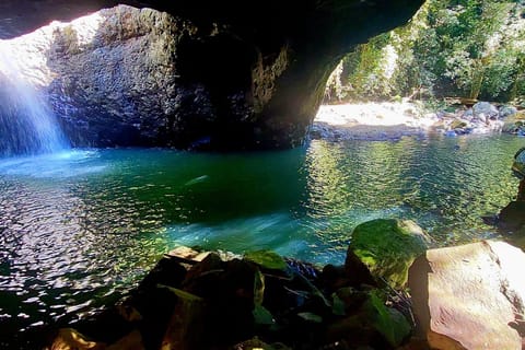 Gold Coast: Springbrook Waterfalls & Rainforest Private Tour - Image 2