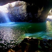 Gold Coast: Springbrook Waterfalls & Rainforest Private Tour