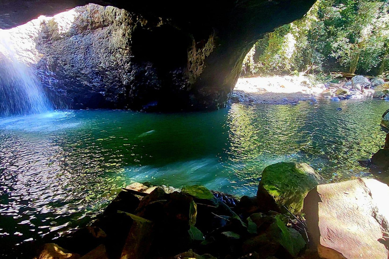 Gold Coast: Springbrook Waterfalls Private Tour