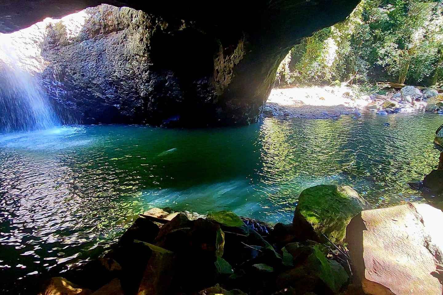 Gold Coast: Springbrook Waterfalls & Rainforest Private Tour - Gold Coast: Springbrook Waterfalls & Rainforest Private Tour