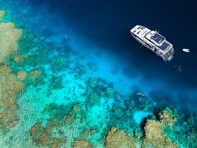 Visit Cairns Great Barrier Reef Snorkel Special in Cairns