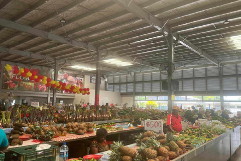 Fidżi: Wycieczka do Nadi z basenem błotnym i gorącymi źródłami