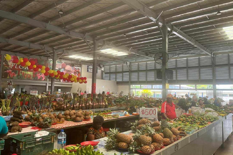 Fidżi: Wycieczka do Nadi z basenem błotnym i gorącymi źródłami