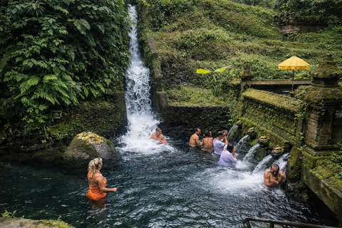 Ubud Spiritual: Purification, Palm Reading & Hot Springs