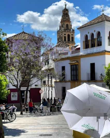 Córdoba: Tour of the three cultures to see the city in a day