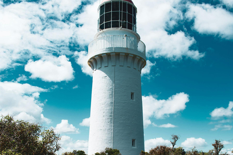 Melbourne: Excursão panorâmica de um dia pela Great Ocean Road