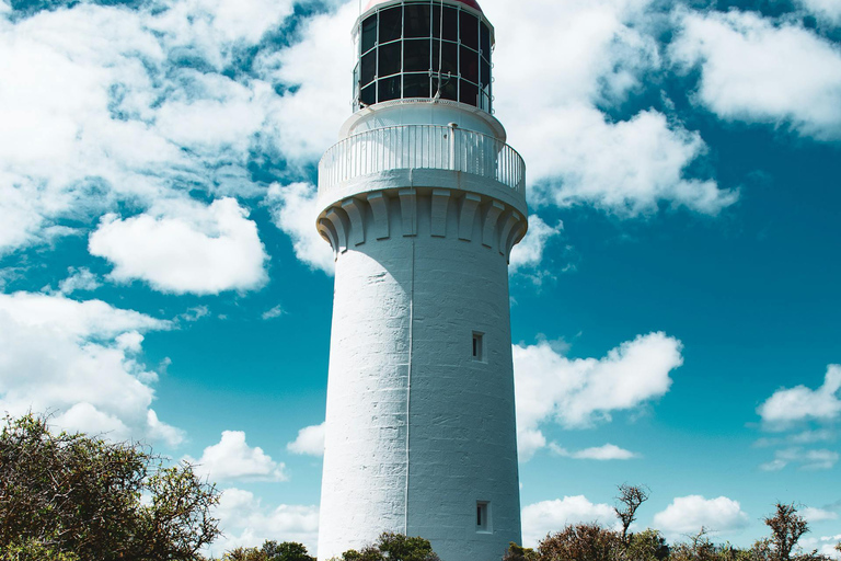 Melbourne: Excursão panorâmica de um dia pela Great Ocean Road