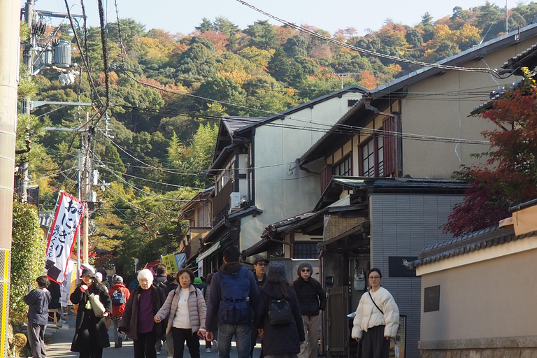 E-Bike Tour in Kyoto with Asuka, Japanese graduate student