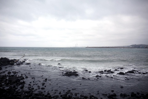 Rota Oeste da Ilha de Jeju Excursão de um dia (atracções opcionais)