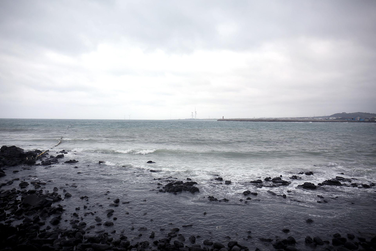 Excursión de un día por la Ruta Oeste de la Isla de Jeju (atracciones opcionales)