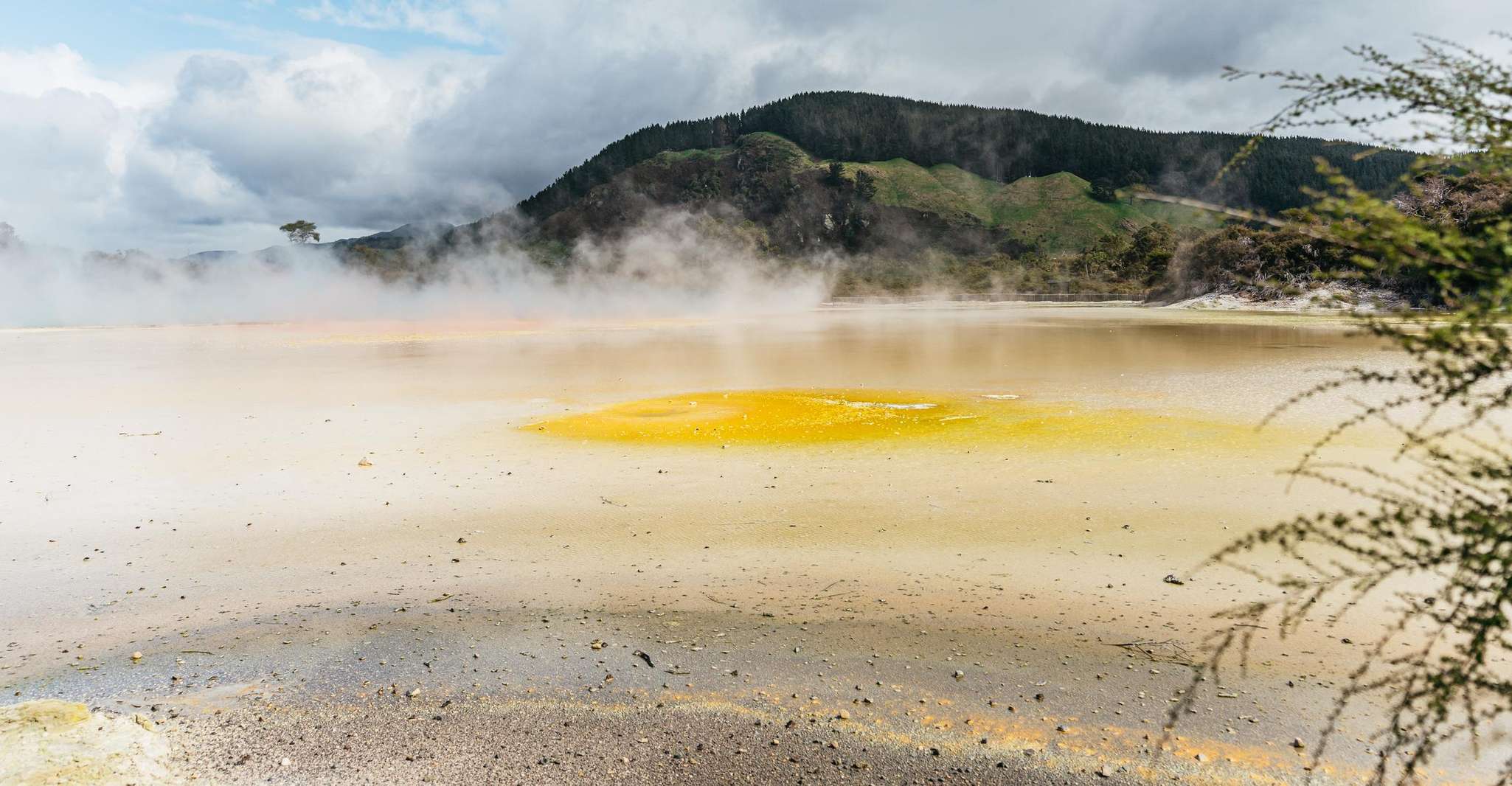 Waiotapu, Thermal Park and Lady Knox Geyser Entry Ticket - Housity