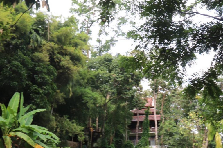 Visite d&#039;une demi-journée le matin à Wat Pha Lat et Wat Phra That Doi SuthepTour de Pritave