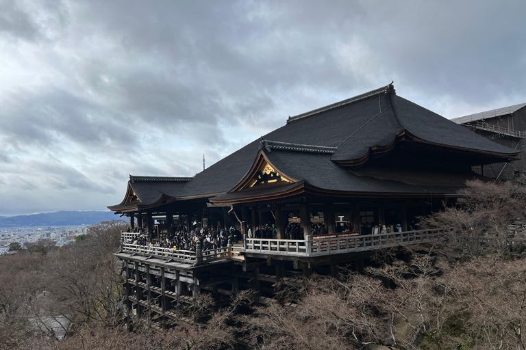 Kioto: Kiyomizu-dera y Fushimi Inari: tour de medio día