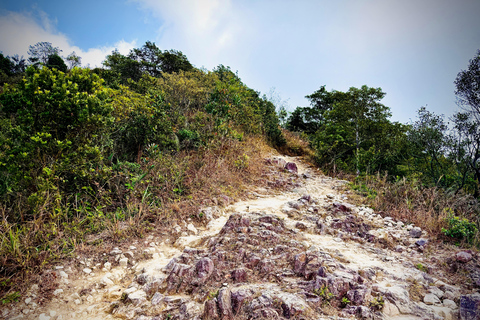 Ma On Shan Ridge & Hunchbacks Advanced Hike (Full Day)