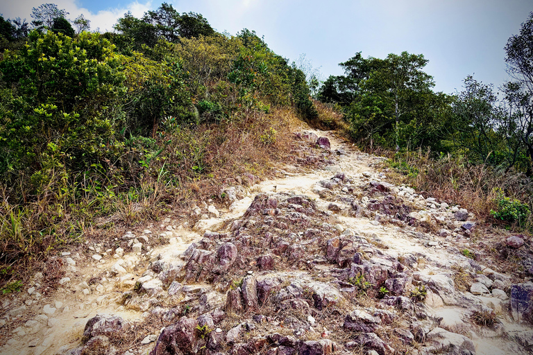 Ma On Shan Ridge & Hunchbacks Advanced Hike (Full Day)