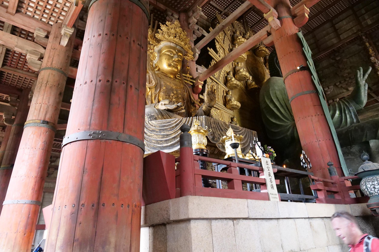 Nara: Tour a pie de medio día por el Patrimonio de la UNESCO y la Cultura Local