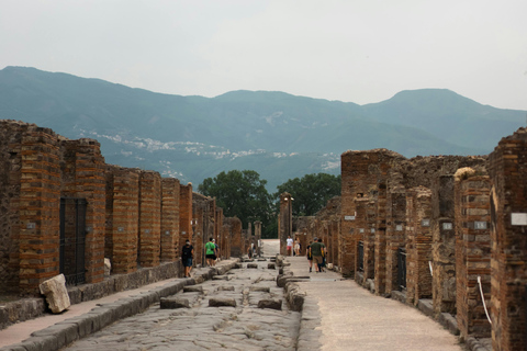 Pompeia: Excursão a pé por França