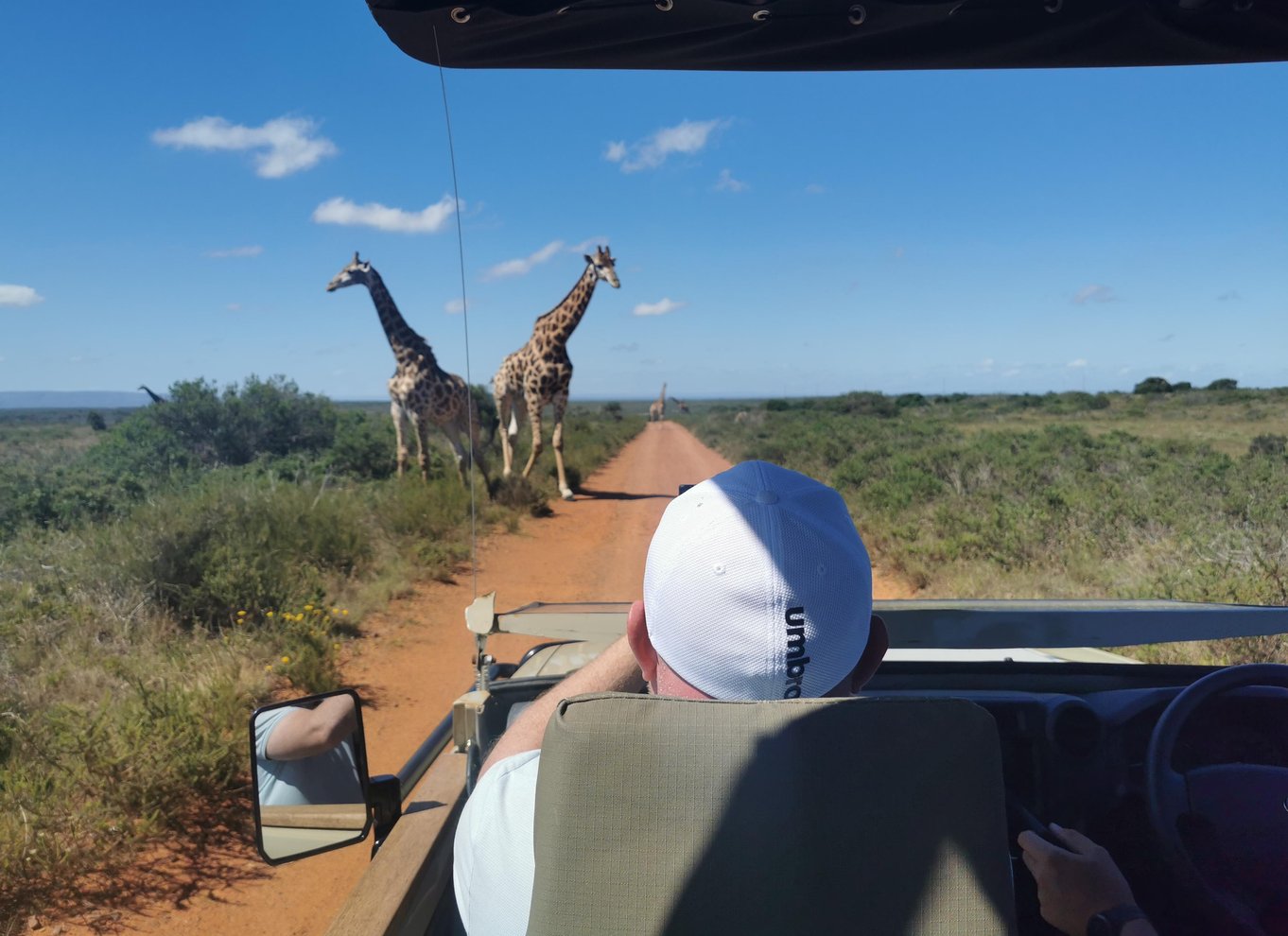 Port Elizabeth: Byrundvisning og dyrelivssafari i 4x4