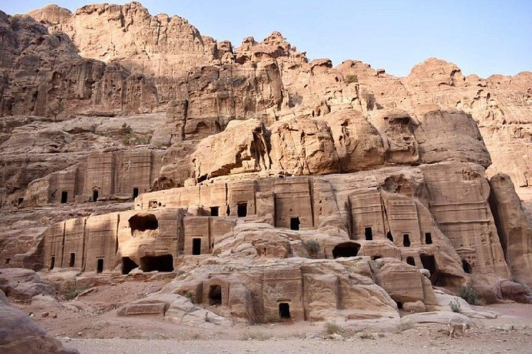 Amman to Petra Full-Day Trip Amman to Petra Full Day Trip By ( Minivan up to 7 pax )