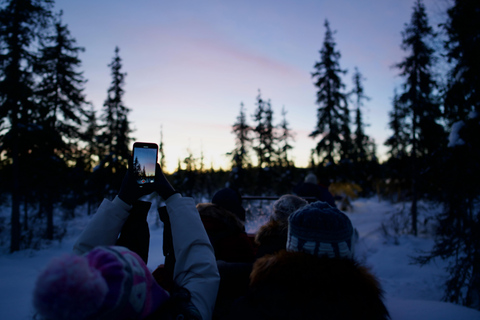 Levi: Enchanted 1.5km Forest Reindeer Sleigh Ride